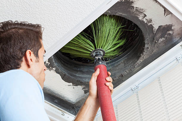 Best Air Duct Sanitizing Services  in Shelby, NC